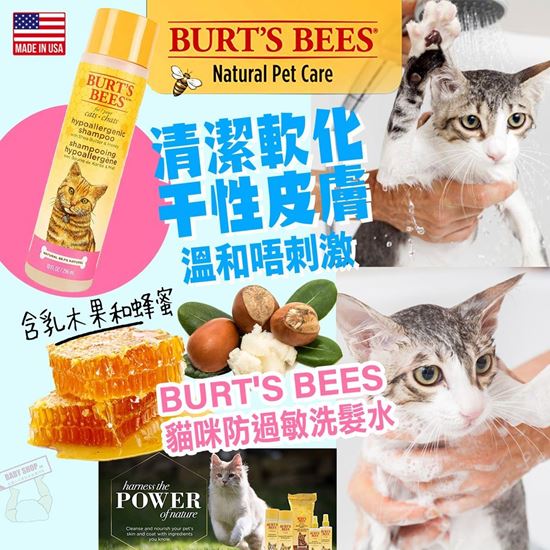 圖片 *貨品已截單* A P4U 2中: Burt's bees 貓咪防過敏洗髮水