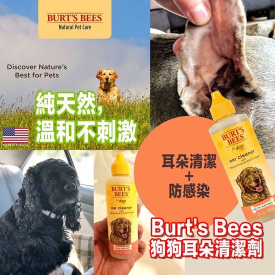 圖片 *貨品已截單* A P4U 7中: Burt‘s Bees 狗狗耳朵清潔劑