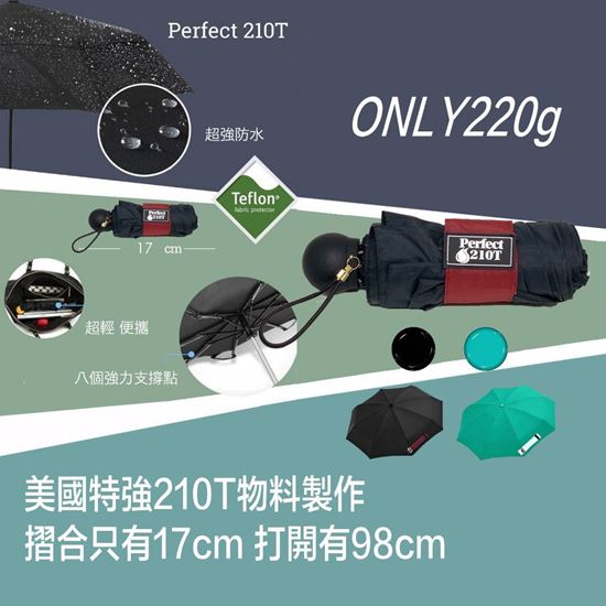 圖片 Perfect 210T Mini Umbrella
