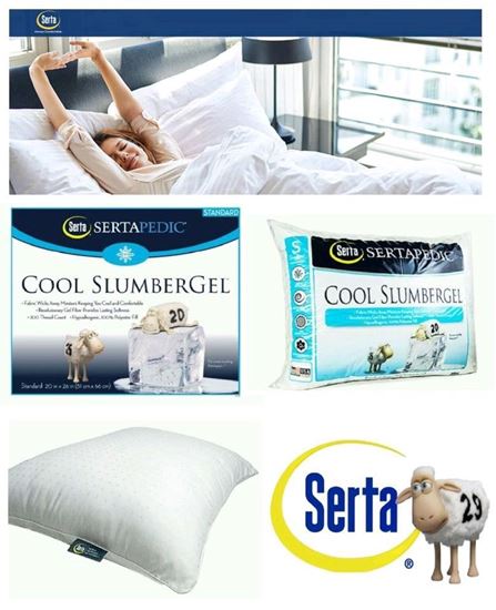 圖片 Sertapedic 冰涼感枕頭
