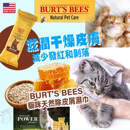 圖片 Burt’s Bees 貓貓免沖水濕紙巾50張