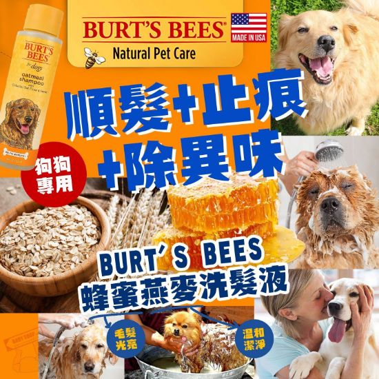 圖片 *貨品已截單*A P4U 6底: Burt's Bees 狗狗燕麥蜂蜜洗髮液